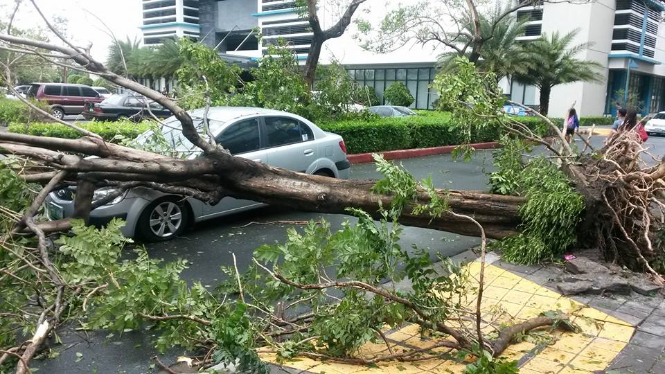 Typhoon glenda damage 1