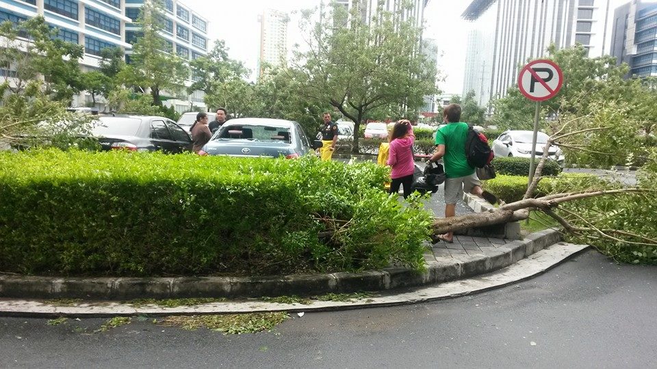 Typhoon glenda damage 2