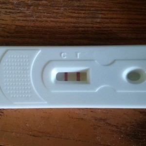 pregnancy test
