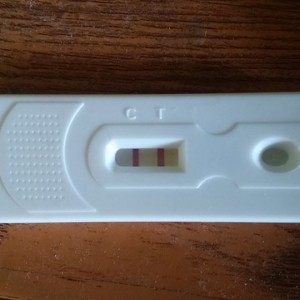 pregnancy test